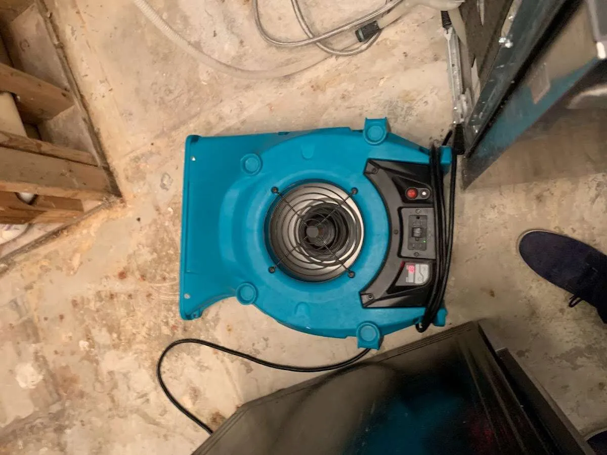 Air mover drying equipment for Mold Remediation & Removal in Wethersfield